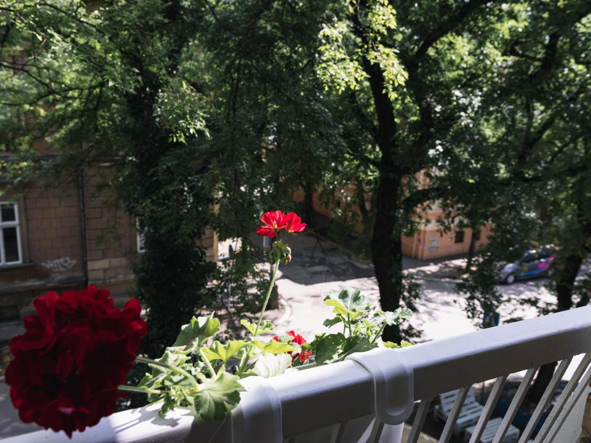 My Space Apartment سوبوتيتْسا المظهر الخارجي الصورة