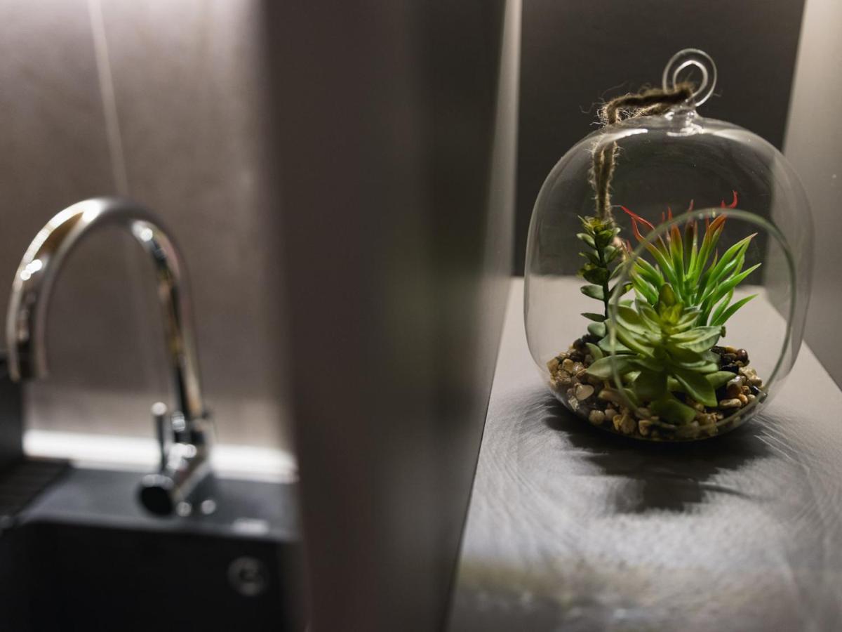 My Space Apartment سوبوتيتْسا المظهر الخارجي الصورة