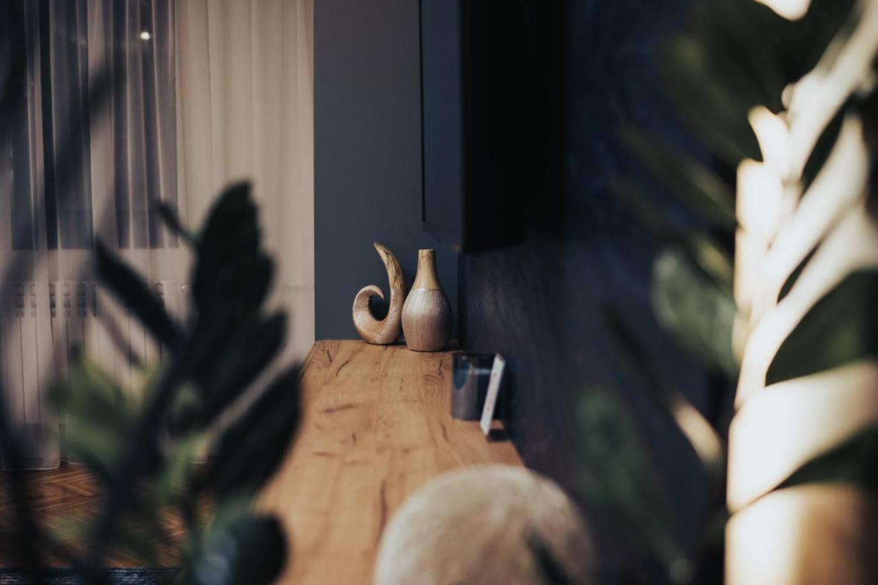 My Space Apartment سوبوتيتْسا المظهر الخارجي الصورة